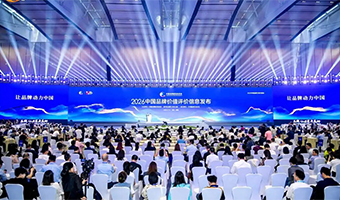 2026中国品牌价值评价信息发布  鲁西化工品...